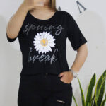 کراپ آفتابگردان